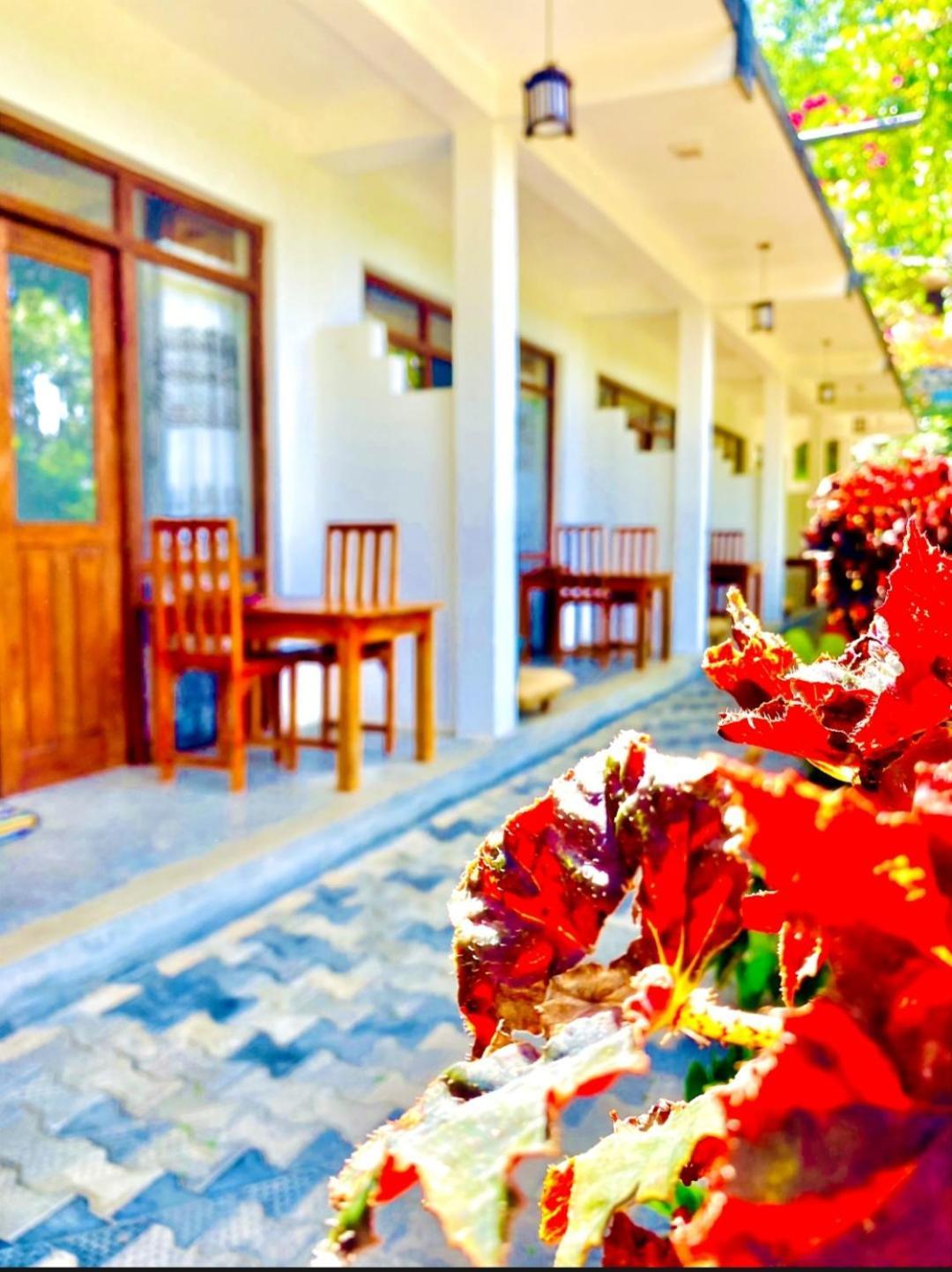 فندق Blissful Haven إيلا المظهر الخارجي الصورة