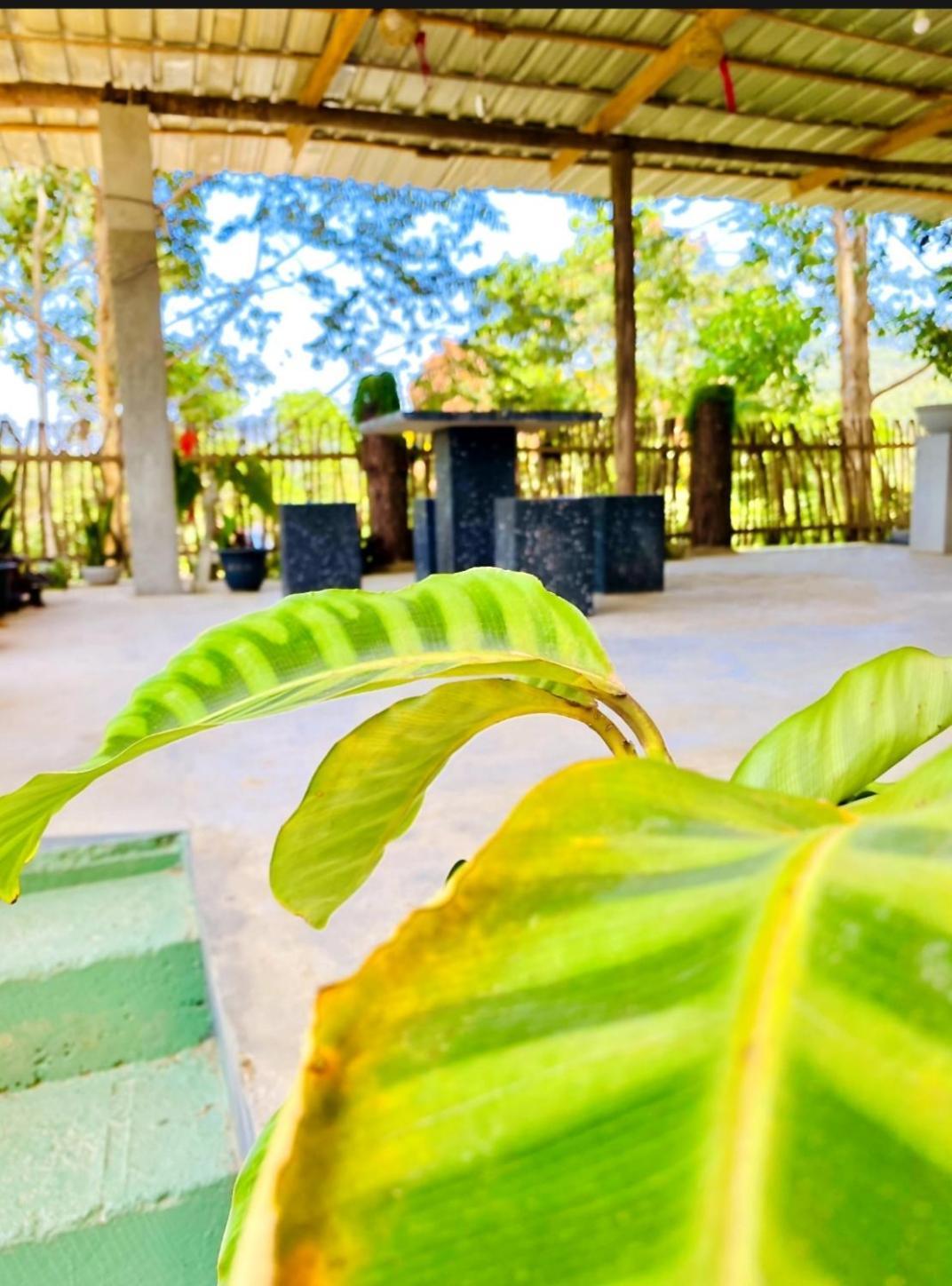 فندق Blissful Haven إيلا المظهر الخارجي الصورة