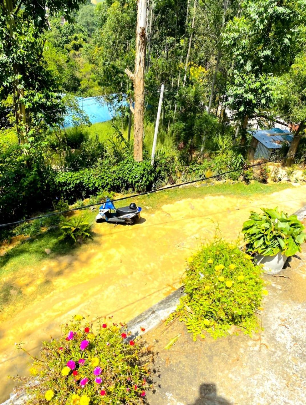 فندق Blissful Haven إيلا المظهر الخارجي الصورة